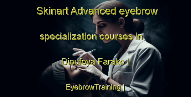 Skinart Advanced eyebrow specialization courses in Dioufoya Farako | EyebrowTraining | EyebrowClasses | SkinartTraining-Mali